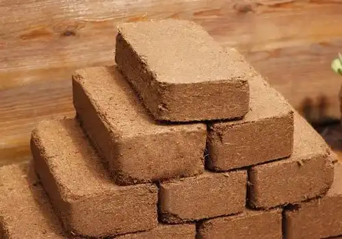 Coco 650g Bricks